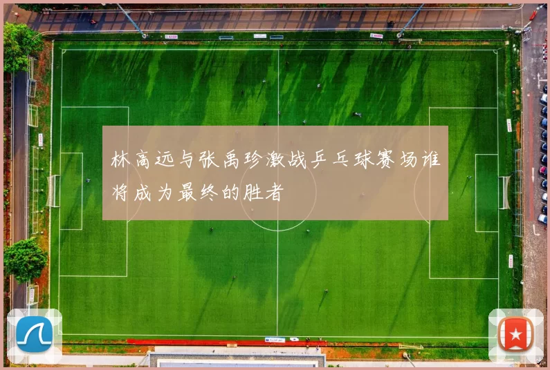 林高远与张禹珍激战乒乓球赛场谁将成为最终的胜者