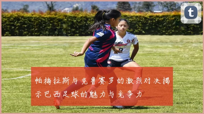 帕梅拉斯与克鲁赛罗的激烈对决揭示巴西足球的魅力与竞争力