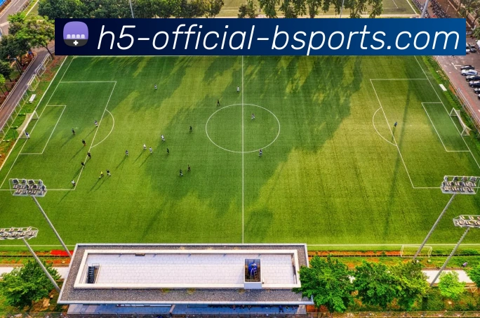 B体育APP 封面图